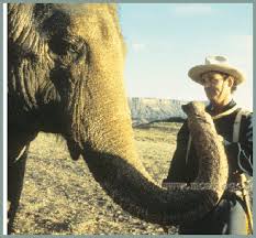 Larger than life is a thin, disjointed road comedy that contains a few laughs despite itself. Sentimental Journey On Larger Than Life Jonathan Rosenbaum