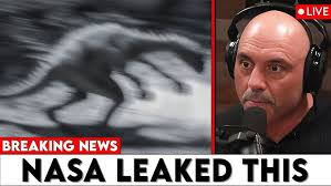 Jeffrey Mccrary's Instagram, Twitter & Facebook