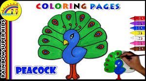 There are three kinds of peacocks: How To Draw A Peacock Step By Step Easy Kids Drawing Tutorial Youtube
