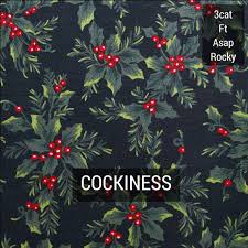 Cockiness Feat Asap Rocky Song By 3cat A Ap Rocky Spotify