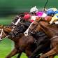 Cup Day At South Beach event image