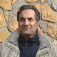 200+ "Sheikhan" profiles