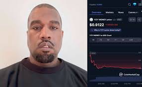 Tectonic Crypto Investment Losses and Experiences