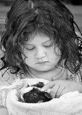 Pulse 2/16/05 (Page 2)