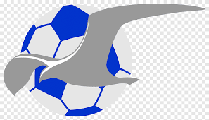 Navn, fs, as, gs, png, pps. Fk Haugesund Sandefjord Fotball 2017 Eliteserien Coleraine F C Football Marine Mammal Logo Png Pngegg