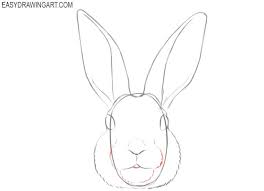 Collection by frances brasley • last updated 2 weeks ago. How To Draw A Bunny Face Easy Drawing Art Cat Face Drawing Drawings Rabbit Drawing Easy