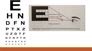 Print the test page in a4 standard format. Visual Acuity Testing