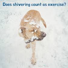 It's not just the food; Funny Quotes About Cold Weather Bluebird Wishes