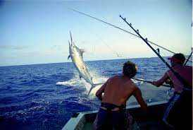 Startpage Web Search Best Fishing Sport Fishing Boats Fishing Tours