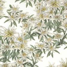 Edelweiss Floral Print Italian Paper Tassotti Floral Prints Christmas Prints Edelweiss Flower