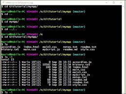 Git for windows provides the git graphical user interfaces. Git Bash Bash Basics Youtube