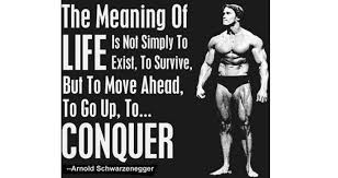 Muscle Sheen 4 Oz Maximum Definition Competition Posing Gel Buff Your Muscular Appearance With A Smo Fitness Motivation Quotes Fitness Quotes Schwarzenegger