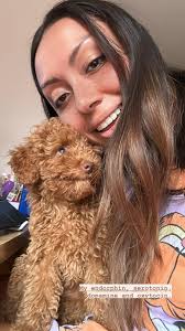 Groomer recommendations for a dog-friendly experience