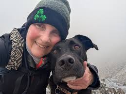 Approximate time to see comet in western sky after sunset?