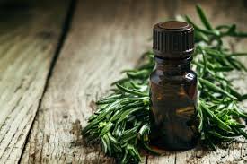 Though, the name has the word 'tea' in it, the tree does not produce tea leaves. 25 Uses For Tea Tree Oil Keeper Of The Home