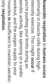 Check spelling or type a new query. When Does Anaerobic Respiration Take Place In The Human Body Brainly In
