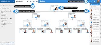 Why Your Startup Org Chart Is Not Pointless Organimi