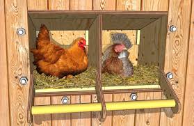 Construire Des Pondoirs Nichoirs Pour Poules Plans Poulailler Bio Pondoir Poulailler Fabriquer Un Poulailler Nichoir