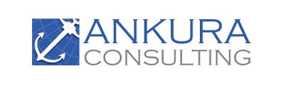 Robert Reyburn Joins Ankura Consulting as Managing Director