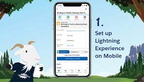 Pages created like this—as copies—retain a reference to the standard page, which means that salesforce can upgrade the page copies for you with new capabilities in the future. Set Up Lightning Experience On Mobile Salesforce Admins