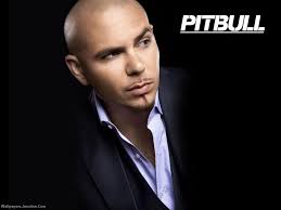 Pitbull Wallpaper Pitbull Rapper Wallpaper 25094094 Fanpop Pitbull Rapper Pitbull Songs Pitbull Artist