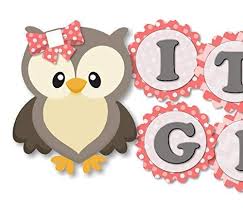 Check spelling or type a new query. Amazon Com Coral Pink Owl Baby Shower Banner It S A Girl Garland Party Decoration Handmade In Usa Handmade