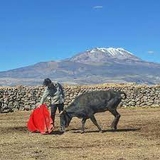 C. Pardo y Franco Salcedo tientan en el campo peruano - Tendido7