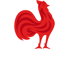 Download wallpapers as monaco, 4k, france, liga 1, wooden texture, monaco fc, ligue 1, soccer, football club, fc monaco besthqwallpapers.com. Six Nations Rugby France