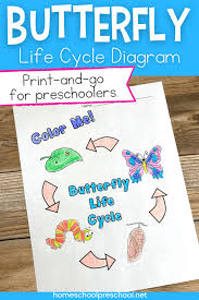 Mosquito control professionals from local government departments or mosquito control districts use this information about mosquito biology and their lif. Free Printable Butterfly Life Cycle Coloring Page For Kids