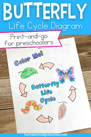 Robert lamb the housefly life cycle closely mirrors. Free Printable Butterfly Life Cycle Coloring Page For Kids