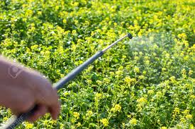 It relies on predation, parasitism, herbivory, or other natural mechanisms, but typically also involves an active human management role. Spraying With Fertilizer And Chemicals For Pest And Disease Control Stock Photo Picture And Royalty Free Image Image 131897940
