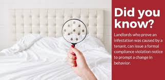 We often get asked are landlords responsible for pest control, and the answer is, it depends. Who S Responsible For Pest Control In A Rental Mashvisor