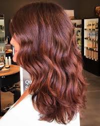 The top of her hair has dark shades of red, and the ends have its lighter one. 15 Heisseste Braune Haare Mit Roten Highlights Red Highlights In Brown Hair Burgundy Brown Hair Red Brown Hair