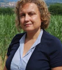 Pau Vidal. Les paraules del procés