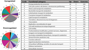 A detailed ip address report for 128.199.182.1 is below. Antibiotic Tolerance Is Associated With A Broad And Complex Transcriptional Response In E Coli Scientific Reports