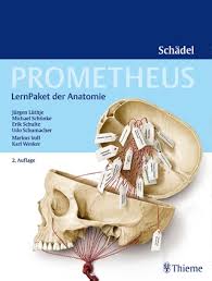 Komplett überarbeitet vom neuen herausgeberteam! Basislehrbuch Innere Medizin Von Steffen Krautzig Isbn 978 3 437 41114 4 Fachbuch Online Kaufen Lehmanns De