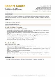 Job description under the overall administrative authority of the country manager, the finance and administrative assistant will undertake to implement the comg's finance and administrative. Credit Assistant Resume Samples Qwikresume