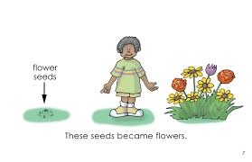 Michael's Seeds: wilbooks.com