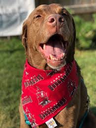 Courtney Horpestad's Instagram, Twitter & Facebook