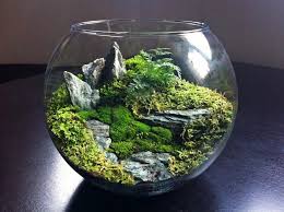 Fancy New Zealand Design Blog Awesome Design From Nz And Around The World Yes Sir Mini Eco Systems Coole Beautiful Terrariums Garden Terrarium Terrarium