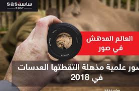 10 صور علمية مذهلة التقطتها العدسات في 2018 Movie Posters Poster Garmin Watch