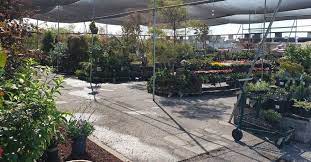Our san jose hardware store is proud to carry paints from the most renowned brands along with all the supplies you need to make the project go smoothly. Payless Hardware Rockery Nursery 2927 S King Rd San Jose Ca 95122 Yp Com