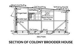 Poultry Houses: 197 Designs, Structures, Plans & Systems ...
