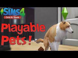 Well, lucky them because this mod allows players to control pets the way sims can be! 76 The Sims 4 Cats Dogs Playable Pets Mod Showcase Youtube Sims 4 Sims The Sims 4 Packs