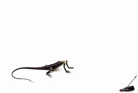Save up to 73% on your life insurance coverage. Black Decker Print Advert By Ogilvy Lizard Ads Of The World