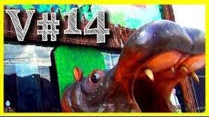 Teníamos claro que si a ellos les gustaba la comida, iban a volver, afirma. Restaurante Parque Safari Vlogoteando 14 Youtube