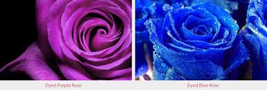 Silk flowers online south africa. Choosing The Right Colour Flowers For Your Wedding Inmotion Flowers
