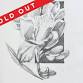 Discover Drawing: Just For The Fun of It – Adult event image