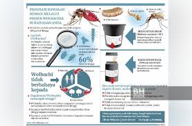 Download as docx, pdf, txt or read online from scribd. Langkah Mengatasi Pembiakan Nyamuk Aedes
