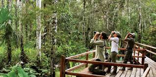 Resultado de imagen para turistas en ambientes naturales